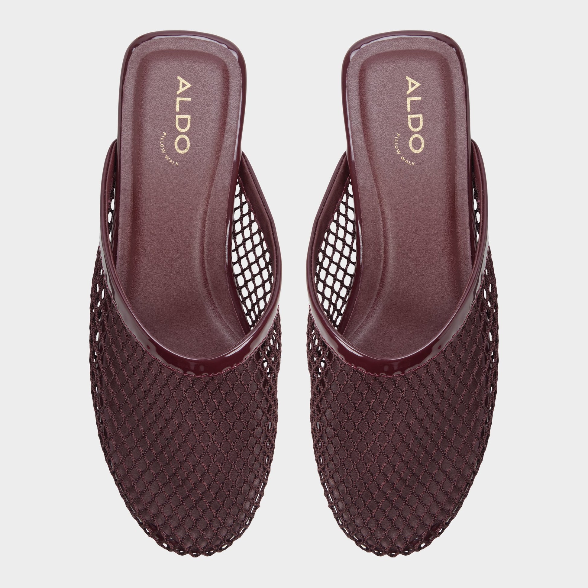 Top-down view of the Bordo Ain Mule