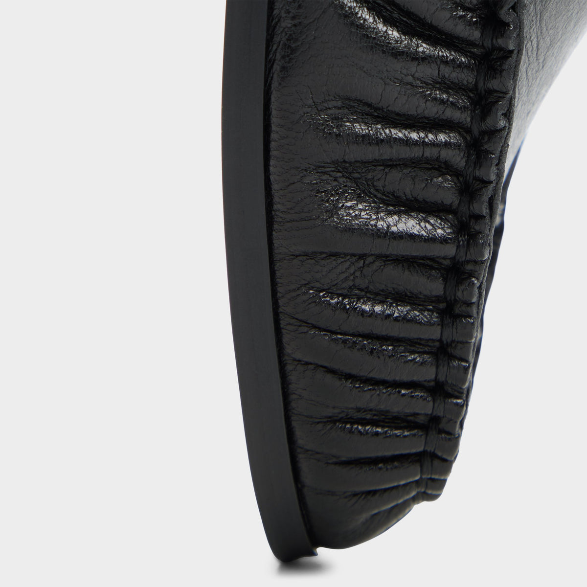 Close-up of the Black Hildinna