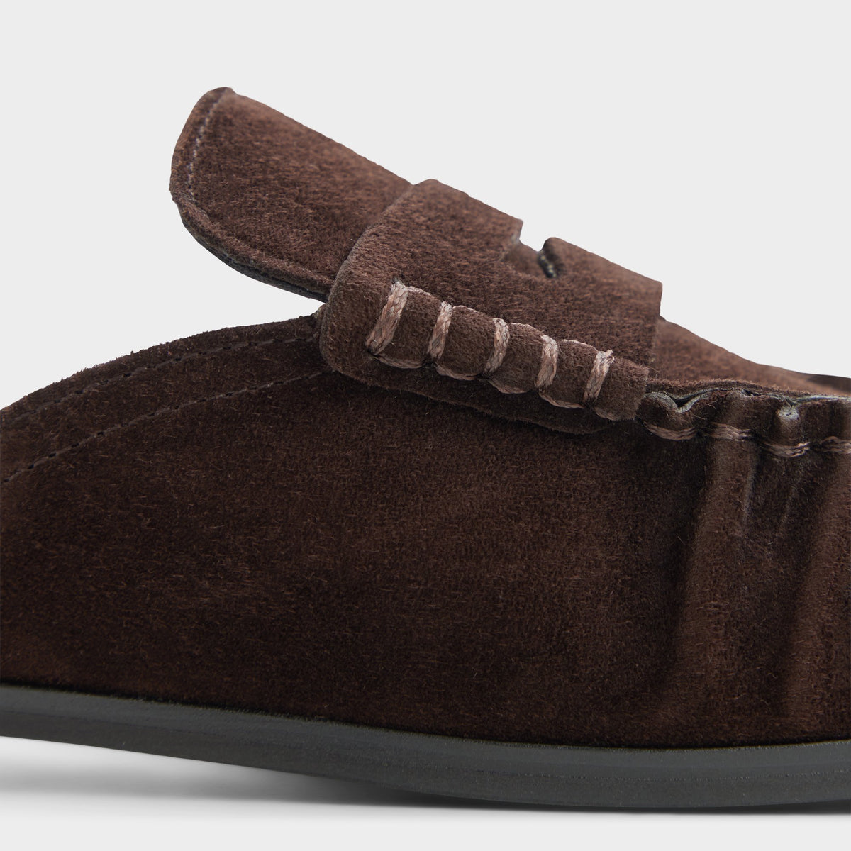Gros plan de la Dark brown Hildinna